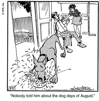 marmaduke